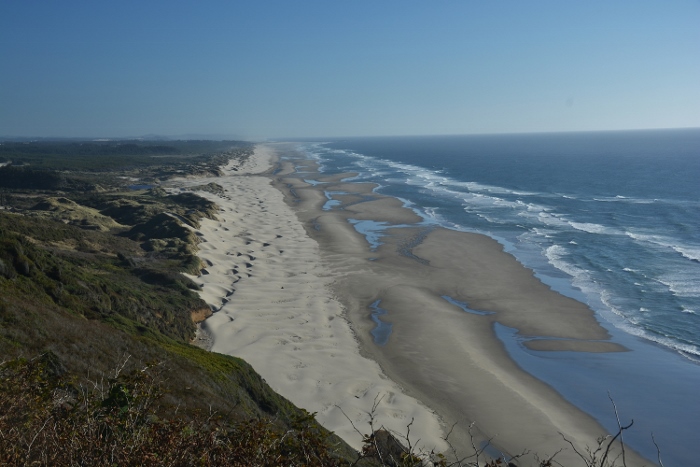 coastline showing beach and dunes 